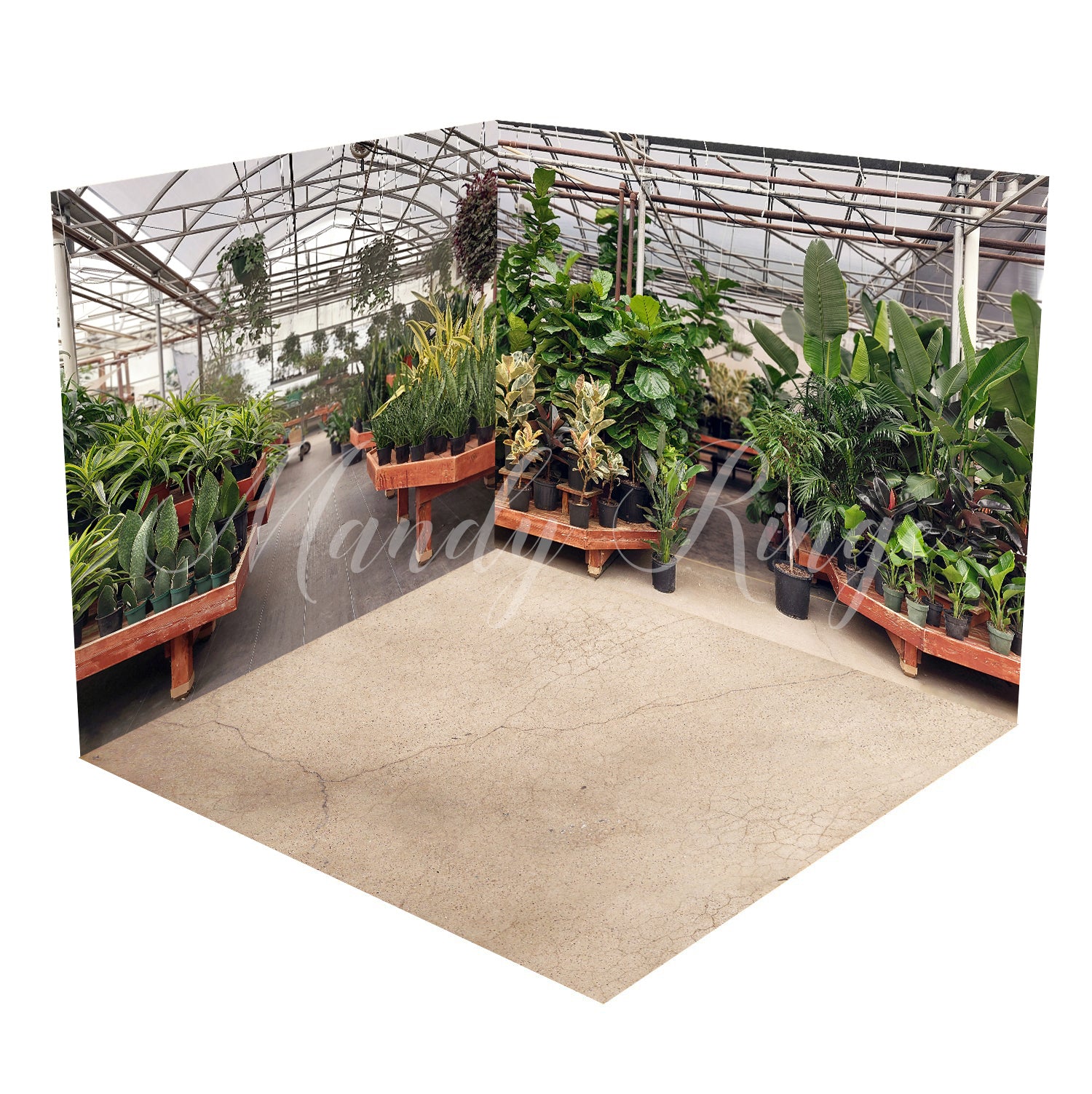 Kate Tropical Serre Intérieur Été Plantes Ensemble de chambre (8ftx8ft&10ftx8ft&8ftx10ft)