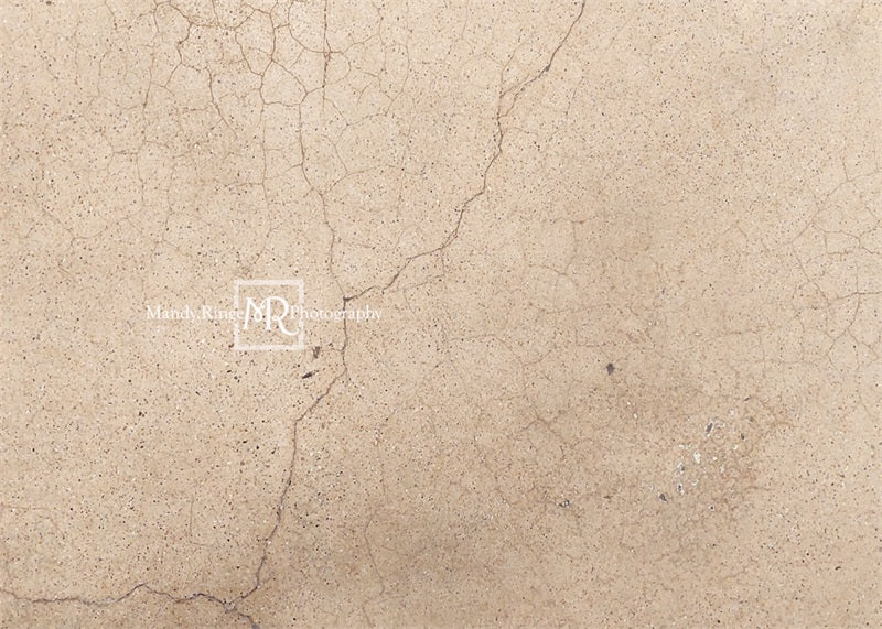 Kate Terrazzo Fissuré Beige Toile de fond conçue par Mandy Ringe Photographie