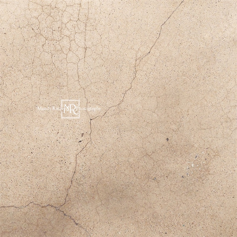 Kate Terrazzo Fissuré Beige Toile de fond conçue par Mandy Ringe Photographie