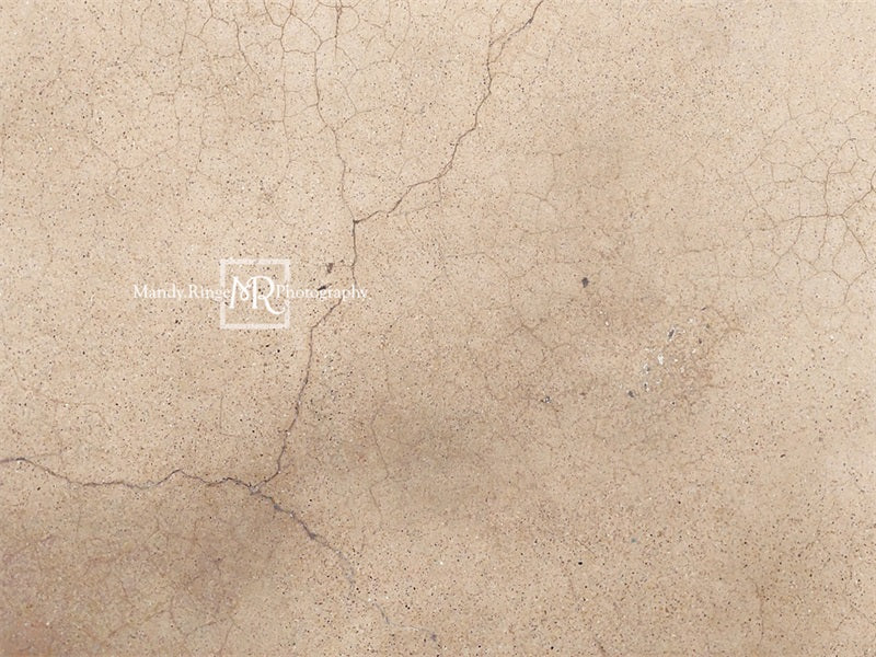 Kate Terrazzo Fissuré Beige Toile de fond conçue par Mandy Ringe Photographie