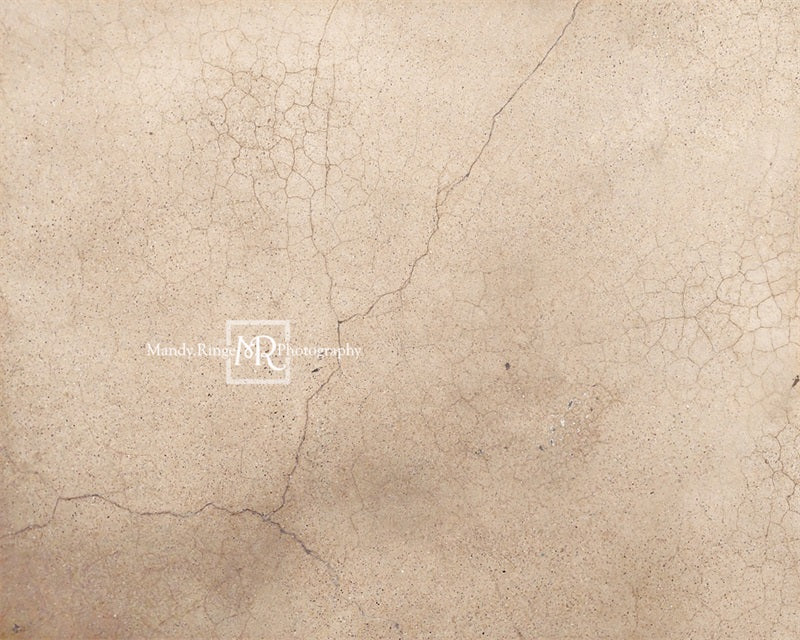 Kate Terrazzo Fissuré Beige Toile de fond conçue par Mandy Ringe Photographie