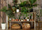 Kate Été Rustique Boutique de plantes Toile de fond conçue par Mandy Ringe - Kate Backdrop FR