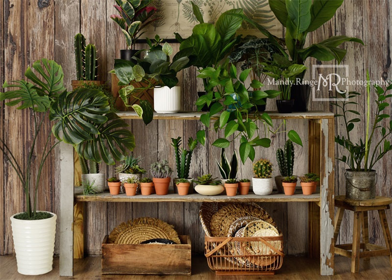 Kate Été Rustique Boutique de plantes Toile de fond conçue par Mandy Ringe - Kate Backdrop FR