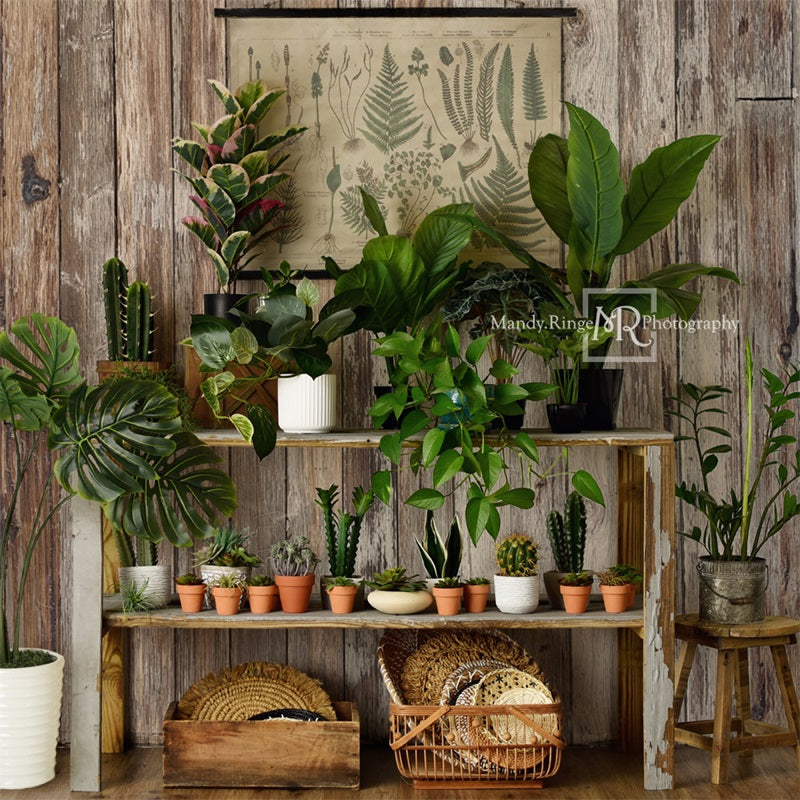 Kate Été Rustique Boutique de plantes Toile de fond conçue par Mandy Ringe - Kate Backdrop FR