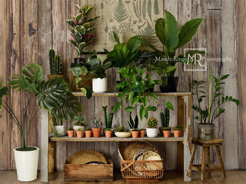Kate Été Rustique Boutique de plantes Toile de fond conçue par Mandy Ringe - Kate Backdrop FR