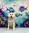 Kate Magique Mer Été Poissons Toile de fond Conçu par Patty Robert - Kate Backdrop FR