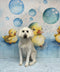 Kate Petit canard Jaune Bulle Bleu Toile de fond Conçu par Patty Robert - Kate Backdrop FR