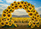 Kate Champ de tournesol Arche florale Été Toile de fond conçue par Mini MakeBelieve - Kate Backdrop FR