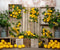 Kate Été Citrons Bois Toile de fond Conçu par Chain Photographie - Kate Backdrop FR