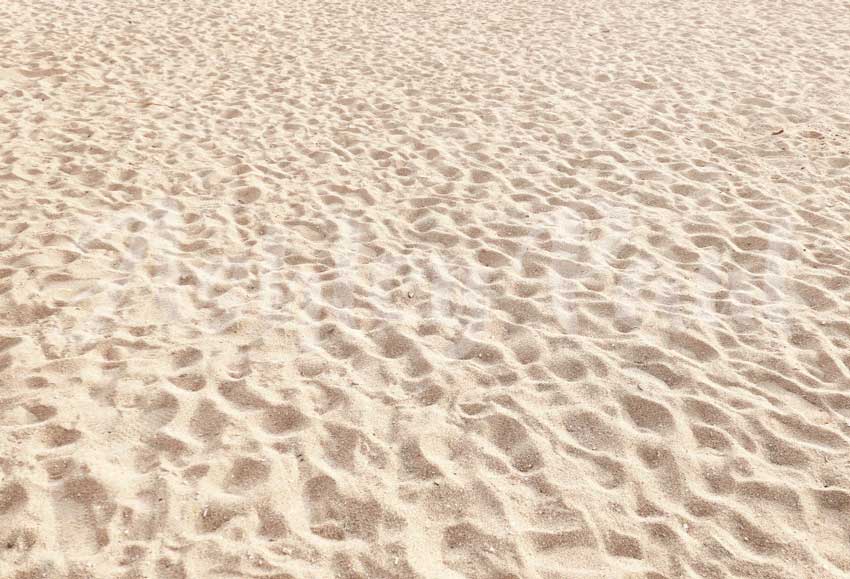 Kate Plage de sable Été Toile de fond conçu par Ashley Paul