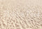 Kate Plage de sable Été Toile de fond conçu par Ashley Paul - Kate Backdrop FR