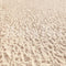 Kate Plage de sable Été Toile de fond conçu par Ashley Paul - Kate Backdrop FR