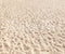 Kate Plage de sable Été Toile de fond conçu par Ashley Paul - Kate Backdrop FR