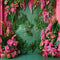 Kate Mur Tropical Vert Fleurs Rose Toile de fond conçu par Ashley Paul - Kate Backdrop FR