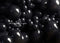 Kate Noir Anniversaire Mur de ballons Toile de fond conçue par Mandy Ringe - Kate Backdrop FR