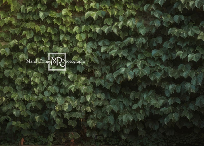 Kate Escalade Lierre Mur vert Toile de fond conçue par Mandy Ringe Photographie