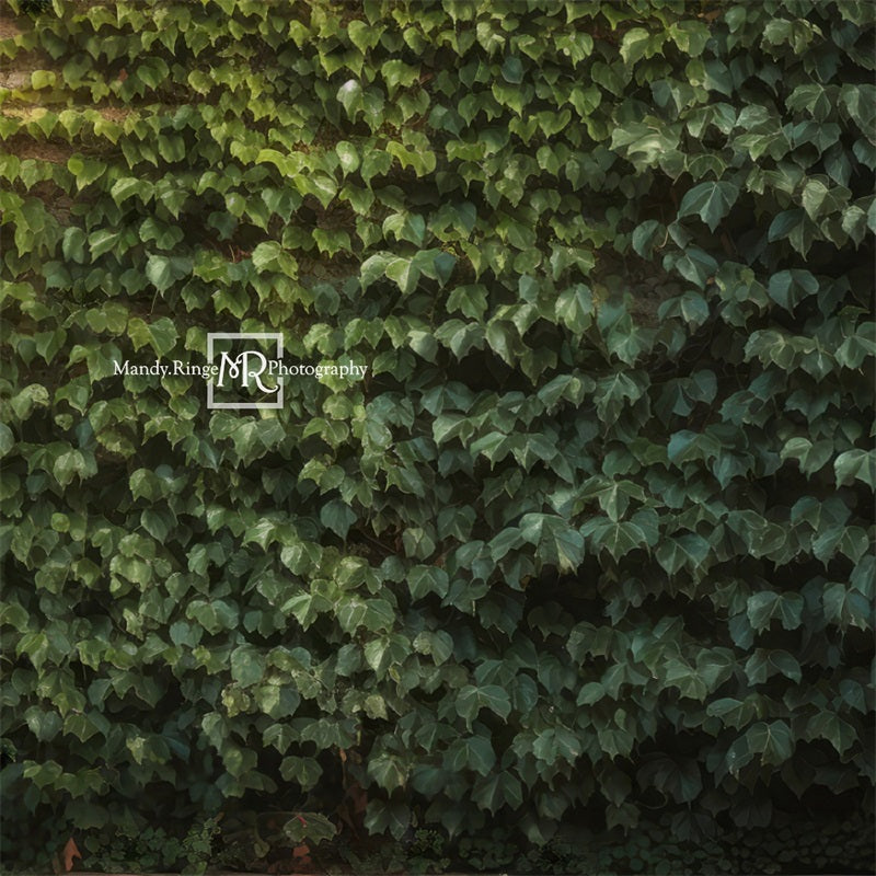 Kate Escalade Lierre Mur vert Toile de fond conçue par Mandy Ringe Photographie