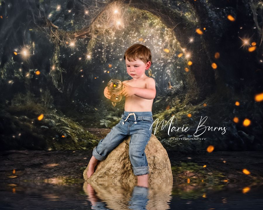 Kate Enchanté Forêt des fées Nuit Été Toile de fond conçue par Mandy Ringe - Kate Backdrop FR