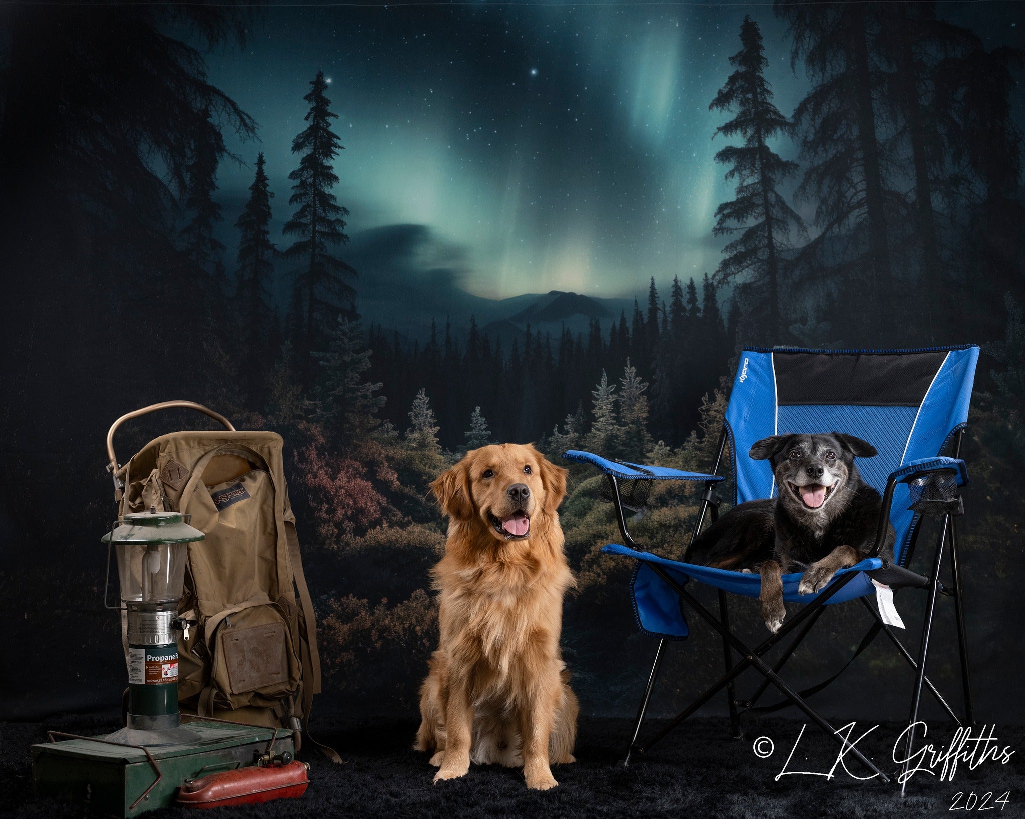 Kate Forêt avec Aurora Toile de fond conçue par Mandy Ringe - Kate Backdrop FR