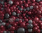 Kate Marron Gris Mur de Ballons Toile de fond conçue par Mandy Ringe - Kate Backdrop FR