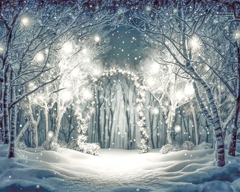 Kate Nuit Neige Forêt Lumières Toile de fond conçu par Angela Marie Photographie