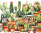 Kate Aquarelle Cactus Vert Toile de fond Conçu par Patty Robert - Kate Backdrop FR