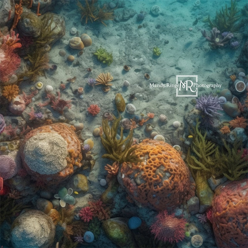 Kate Été Sous-marin Scène océanique Sol Toile de fond conçue par Mandy Ringe