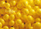 Kate Jaune Mur de Ballons Toile de fond conçue par Mandy Ringe - Kate Backdrop FR