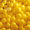 Kate Jaune Mur de Ballons Toile de fond conçue par Mandy Ringe - Kate Backdrop FR