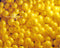 Kate Jaune Mur de Ballons Toile de fond conçue par Mandy Ringe - Kate Backdrop FR