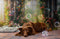 Kate Été Fleur Maison Soleil Toile de fond Conçu par Chain Photographie - Kate Backdrop FR