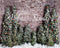 Kate Noël Mur de briques Sapins illuminés Toile de fond conçue par Abbas Studio - Kate Backdrop FR