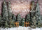 Kate Noël Extérieur Clôture Arbres Lumières Toile de fond conçue par Abbas Studio - Kate Backdrop FR
