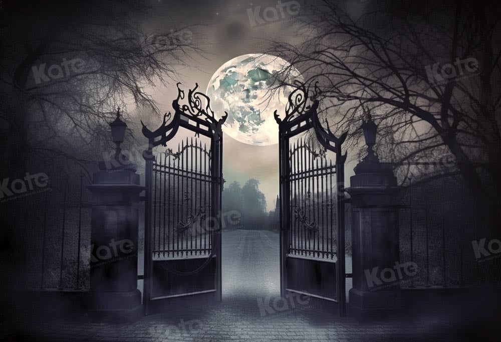 Kate Halloween Manoir Nuit Lune Toile de fond Conçu par Chain Photographie