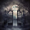 Kate Halloween Manoir Nuit Lune Toile de fond Conçu par Chain Photographie - Kate Backdrop FR