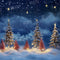 Kate Noël Étoiles Neige Nuit Toile de fond Conçu par Chain Photographie - Kate Backdrop FR