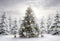 Kate Sapin de Noël Neige Blanc Toile de fond Conçu par Chain Photographie - Kate Backdrop FR