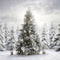 Kate Sapin de Noël Neige Blanc Toile de fond Conçu par Chain Photographie - Kate Backdrop FR