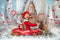 Kate Bonbons Neige Maison de pain d'épice Toile de fond Conçu par Chain Photographie - Kate Backdrop FR