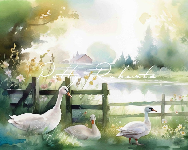 Kate Vue Campagne Oie Printemps Toile de fond Conçu par Patty Robert - Kate Backdrop FR