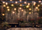 Kate Toit Jardin scintillant Bois Toile de fond conçu par Angela Marie Photographie - Kate Backdrop FR