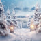 Kate Neige Hiver Arbres Route Toile de fond Conçu par Chain Photographie - Kate Backdrop FR