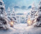 Kate Neige Hiver Arbres Route Toile de fond Conçu par Chain Photographie - Kate Backdrop FR
