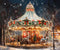Kate Carrousel Noël Lumière Enfant Toile de fond Conçu par Chain Photographie - Kate Backdrop FR