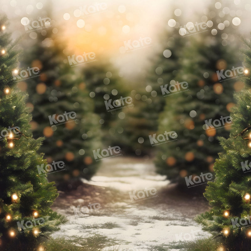 Kate Noël Extérieur Arbre Lumière Bokeh Toile de fond pour la photographie