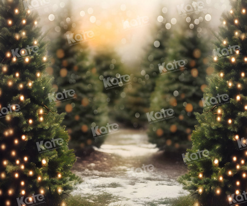 Kate Noël Extérieur Arbre Lumière Bokeh Toile de fond pour la photographie