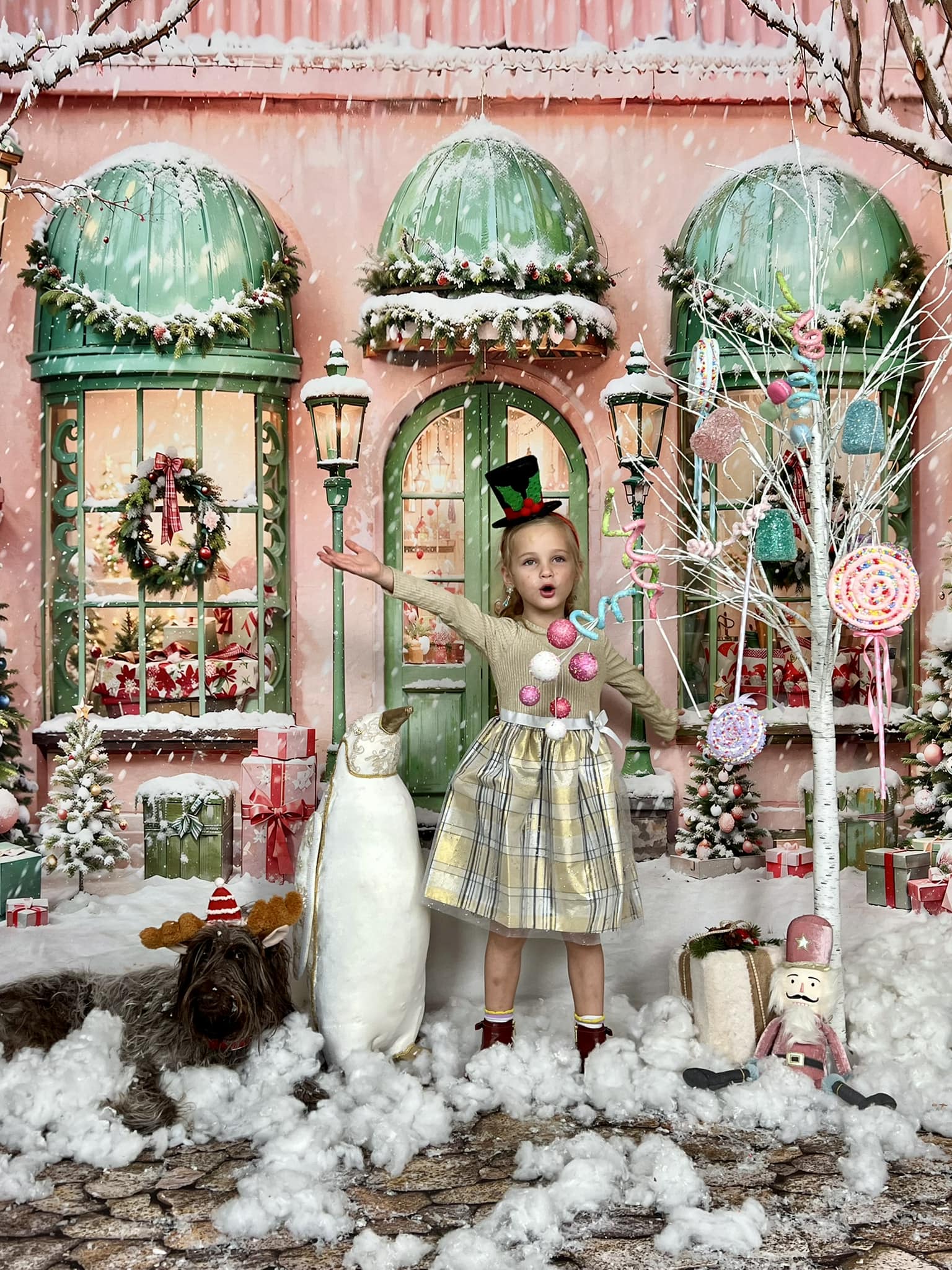 Kate Noël Maison Rose Neige Cadeaux Toile de fond Conçu par Chain Photographie - Kate Backdrop FR