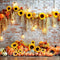 Kate Citrouille Tournesol Mur de briques Toile de fond conçue par Mini MakeBelieve - Kate Backdrop FR