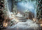 Kate Beaux-Arts Doux Escaliers Hiver Toile de fond conçue par Mini MakeBelieve - Kate Backdrop FR
