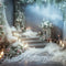 Kate Beaux-Arts Doux Escaliers Hiver Toile de fond conçue par Mini MakeBelieve - Kate Backdrop FR